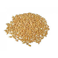 Льон білий (сіма) 50 шт.