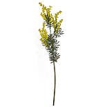 Штучна Мімоза гілка 87 см, фото 7