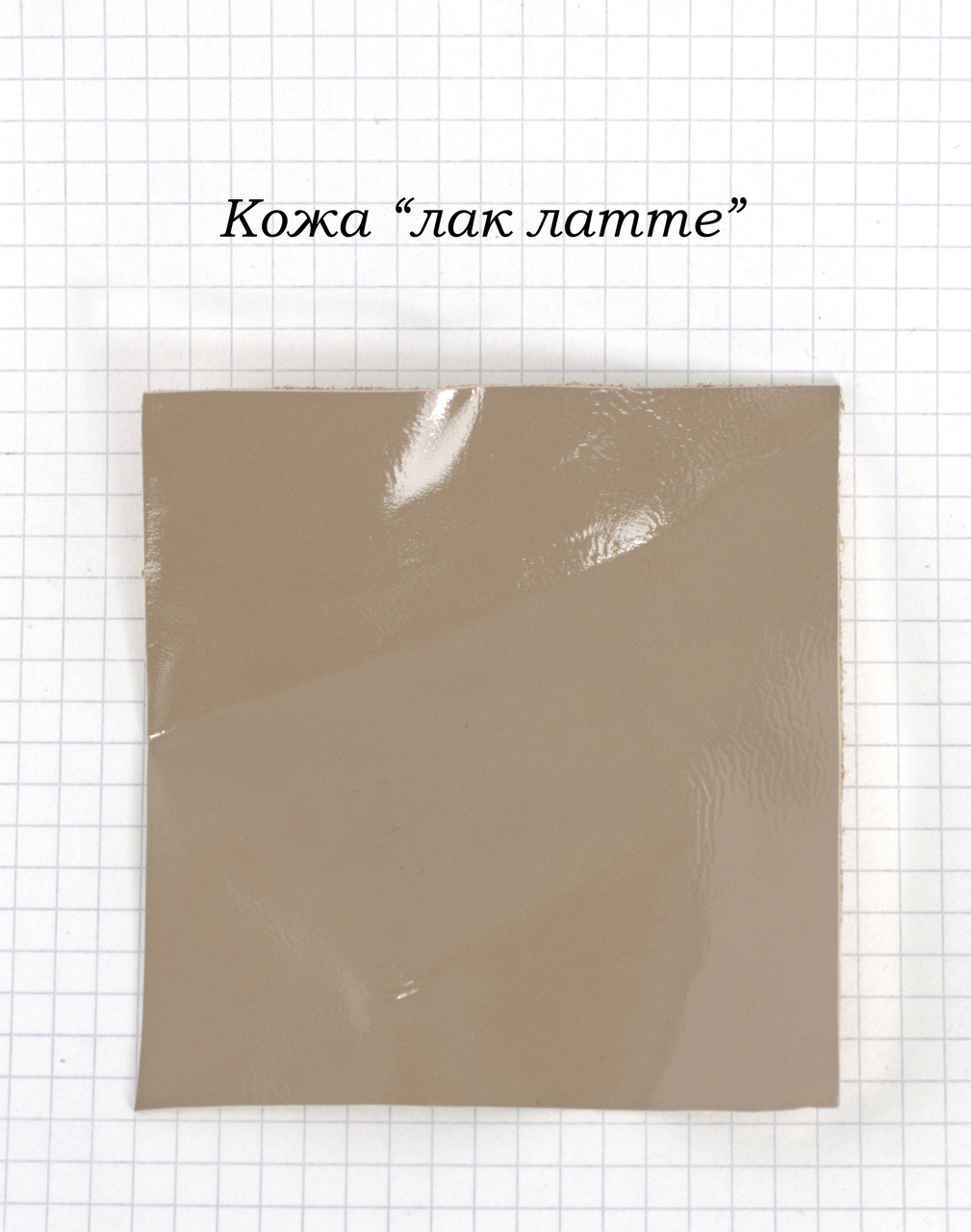 Шкіра лак лате, фото 1