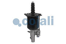 Пгу Mercedes 2250288 (COJALI)