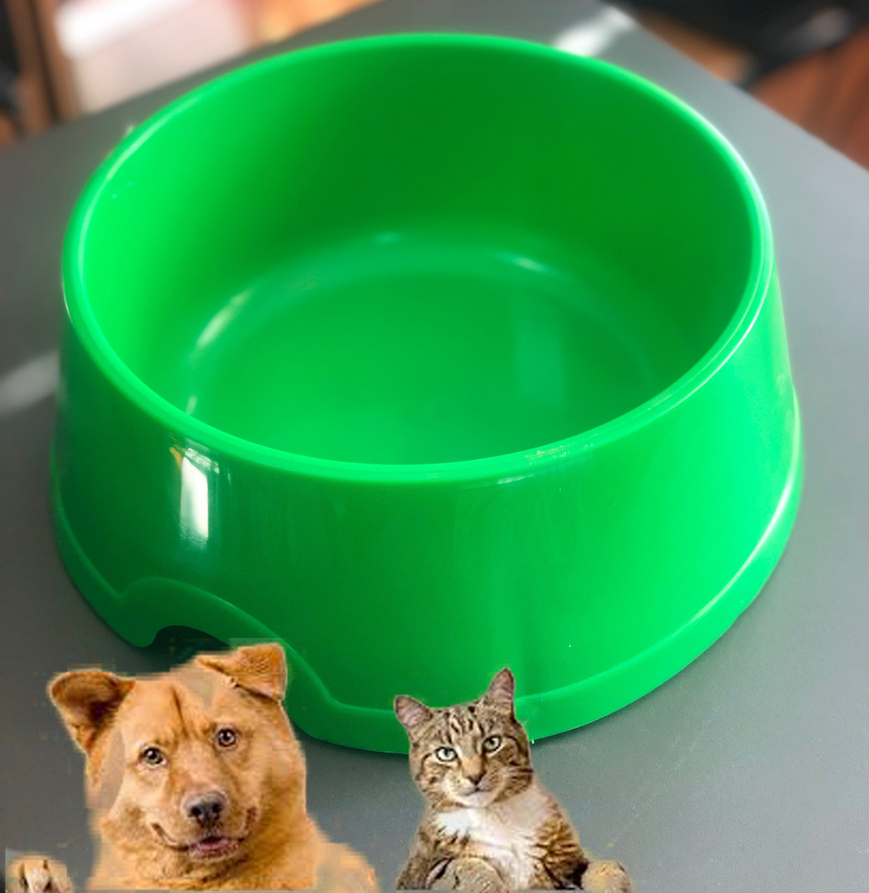 Миска для кота собаки, для сухого корму, 1л, фото 1