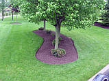 Бордюрна стрічка садова Альта-Профіль розширена 0,5х200х9000 мм коричневий, фото 8
