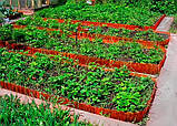Садовий бордюр Альта-Профіль з перфорацією 0,65х150х9000 мм червоний, фото 4