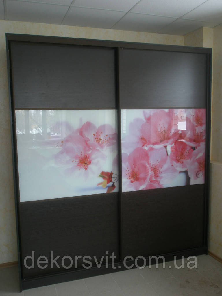 ᐉ Фасады (для шкафов, гардеробных) купе комбинированные фотопечать ДСП ...