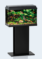 Прямокутний акваріум невеликий JUWEL (Джувел) Primo 70 LED, чорний 70 літрів