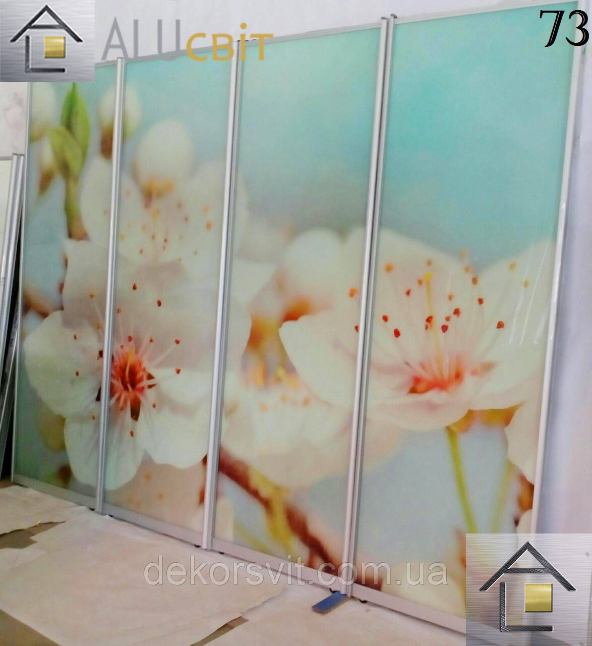 Розсувні двері купе (у шафі, гардеробні) фотодрук, лакобель, піскоструми, фото 1