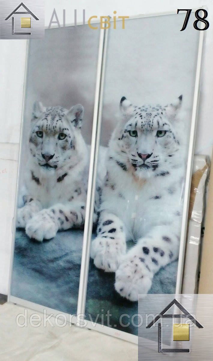 Фасади (двері) фотодрук для шаф купе, гардеробних