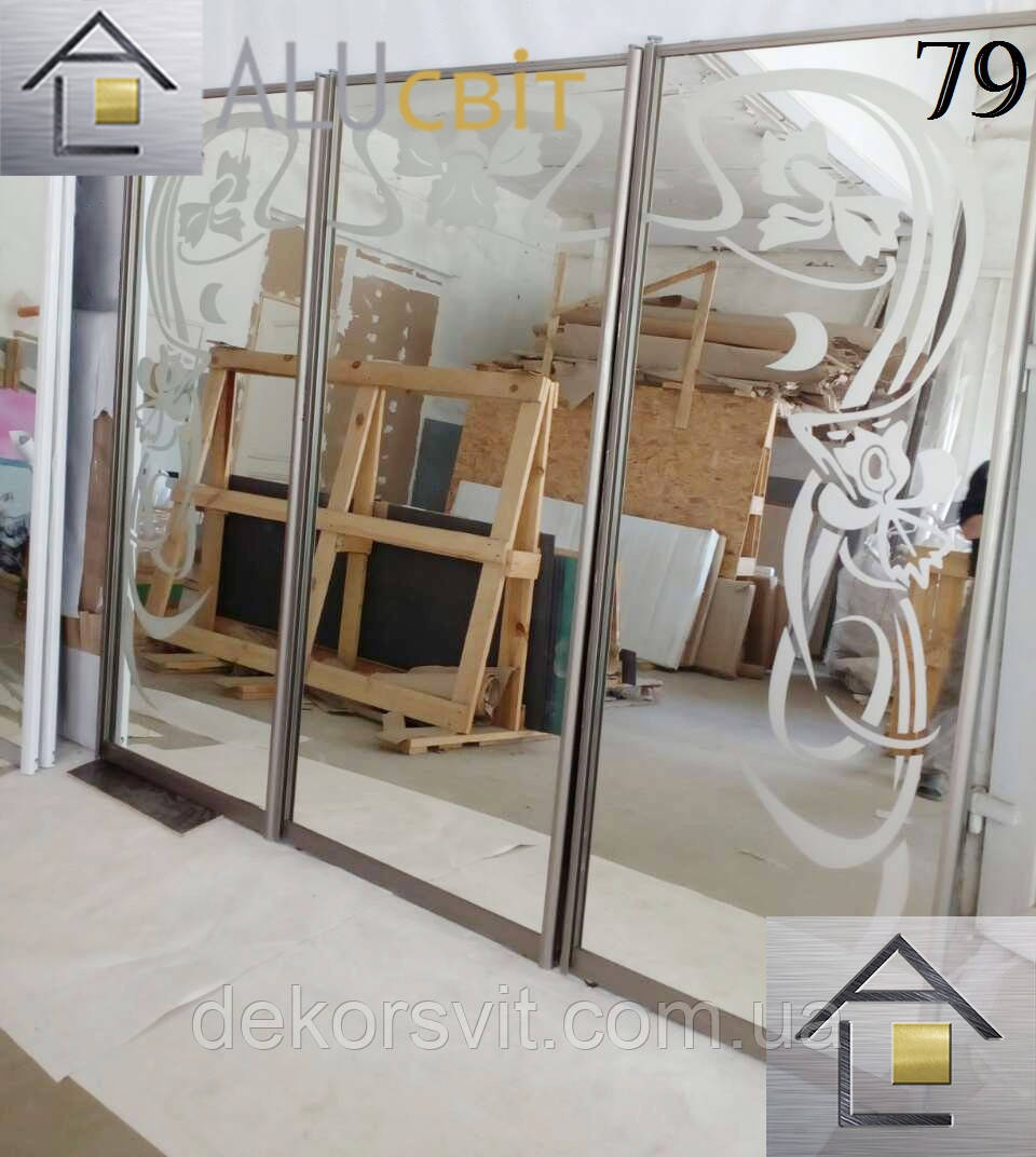 Фасади (двері) для шаф купе, гардеробних (піскоструй), фото 1