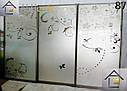 Розсувні двері купе (в шафи, гардеробні) фотодрук, лакобель, піскоструми, фото 7