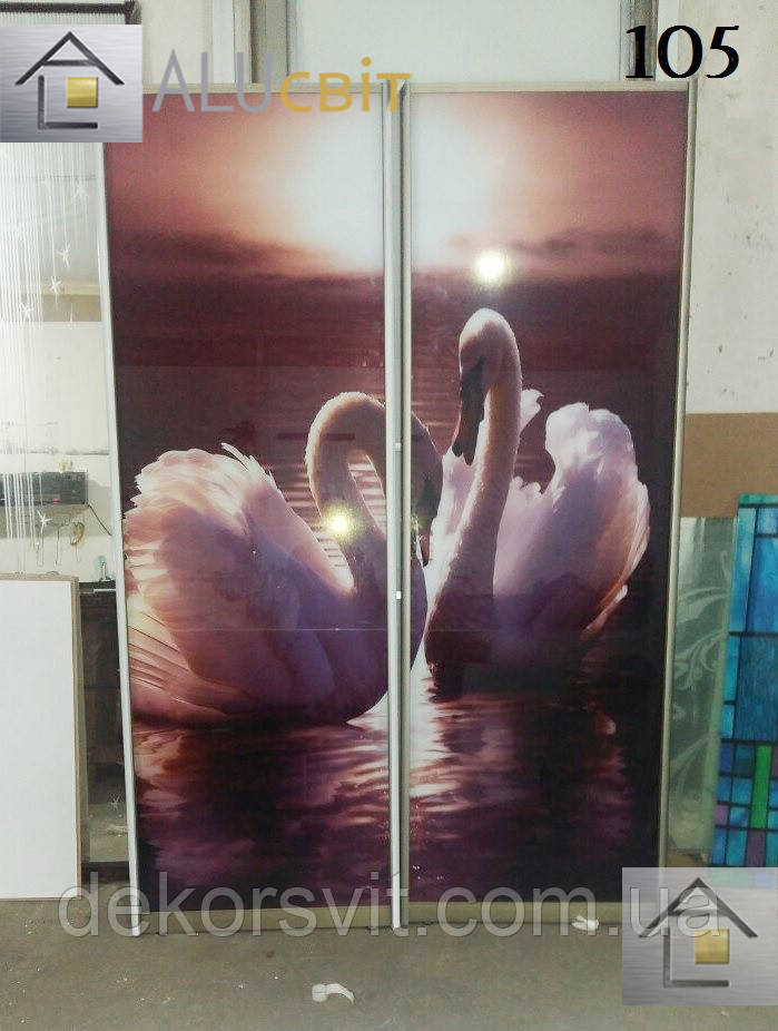 Фасади (двері) фотодрук для шаф купе, гардеробних