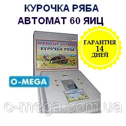 Автоматичні інкубатори Курочка Ряба на 62 яєць литий корпус пінопластовий