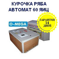 Инкубаторы автоматические Курочка Ряба на 60 яиц