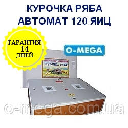 Інкубатори автоматичні Курочка Ряба на 120 яєць