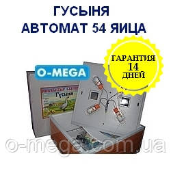 Інкубатори автоматичні Гусиня на 54 яйця