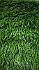 Штучна трава мініфутбол — 40 мм.Turf Grass Іспанія, фото 4