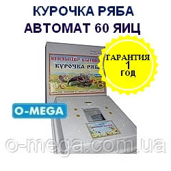 Автоматичні інкубатори Курочка Ряба на 62 яєць литий корпус пінопластовий