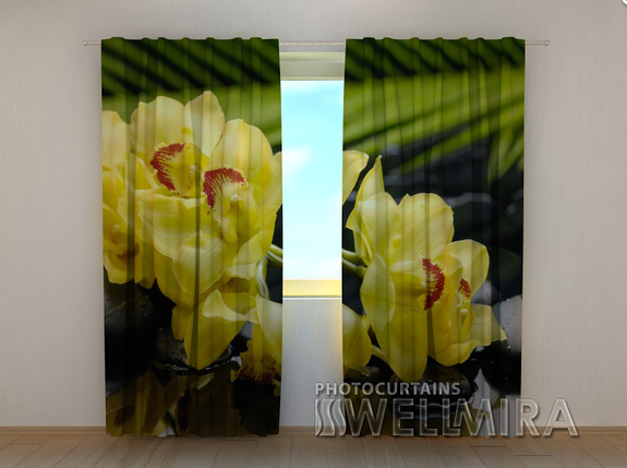 Фотоштори "Солкова орхідея" 250 х 260 см квіти фото штори з малюнком, фото 2