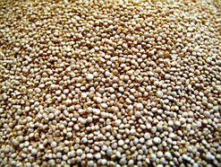 Кіноа біле (сіма) 50 шт.