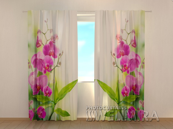 Фотоштори "Краски літа" 250 х 260 см квіти фото штори з малюнком, фото 2