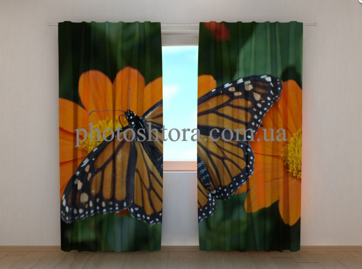 Фотошторы "Метелик і квітка" 250 х 260 см квіти фото штори штори з малюнком