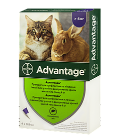 Bayer Advantage 80 для кішок понад 4 кг