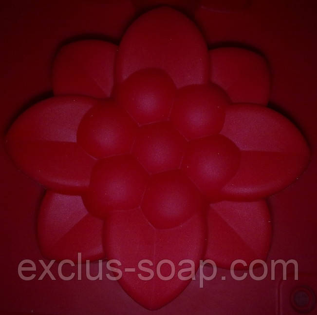 Лілія, фото 1