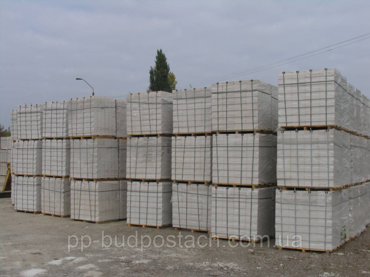 Продукція Житомирського цегляного, фото 1