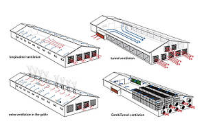 Вентиляція тваринницьких ферм