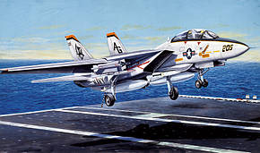 F - 14 A TOMCAT. 1/72 ITALERI 1156, фото 1