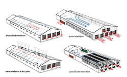 Вентиляція птиціфабрики