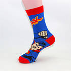 Шкарпетки DC Superman (р. 36-43), фото 6