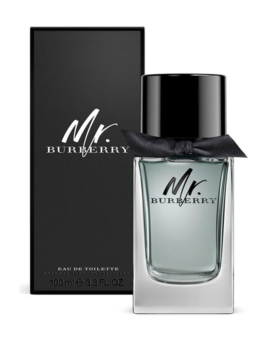 Чоловіча туалетна вода Burberry Mr. Burberry, 100 ml