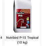 Versele-Laga NutriBird P15 Treopical ВЕРСЕЛЕ-ЛАГА HУТРІБЕРД ТРОПІКАВ ГОРІХІ І І ФРУКТІ корм для великих папуг, фото 3