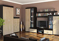 Комплект мебели под телевизор в гостиную, комнату, зал со шкафом для одежды и комодом Марк Сокме