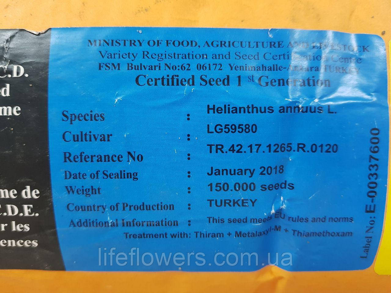 Насіння соняшнику ЛГ 59580 (LG 59580)