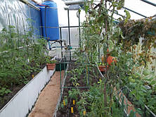 Нові технології на службі тепличників -2