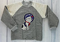 Джемпер для хлопчиків Сірий Бавовна Бембі Україна 6 років, 122