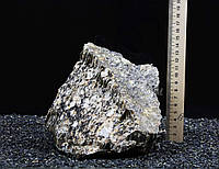 Древесный камень 195 3.2(kg)