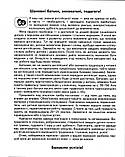 Easy English. Starter Book для малят 4-7 років, що вивчають англійську. Жирова Тетяна, Федієнко Василь, фото 4