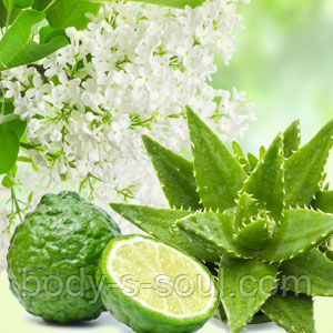 ALOE & WHITE LILAC №14, косметичні віддушки для мила, свічок, косметики ручної роботи, США, Ваніль 0%