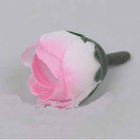 Головка рунункулюсу міні рожевий