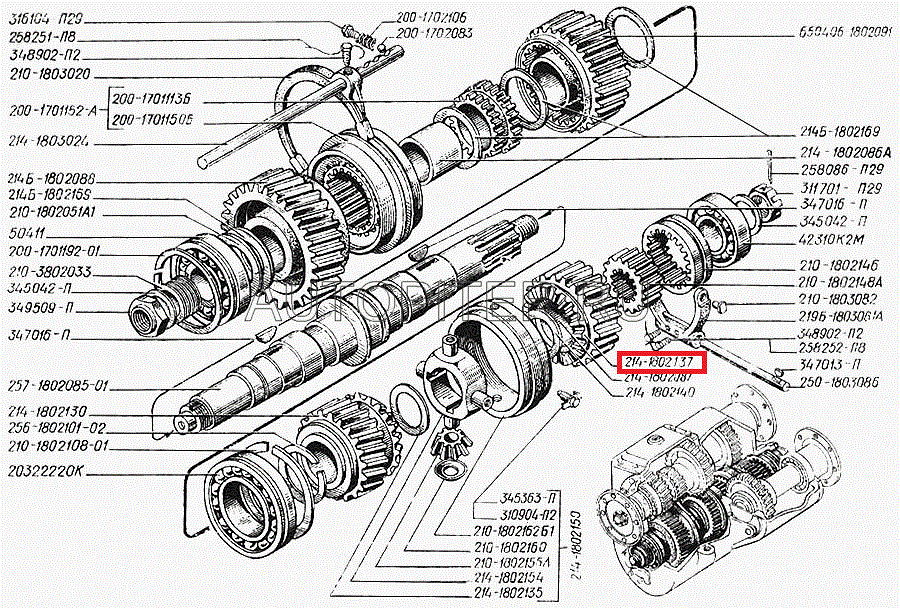214-1802137 Шестерня привода среднего моста раздатки КрАЗ (24/22