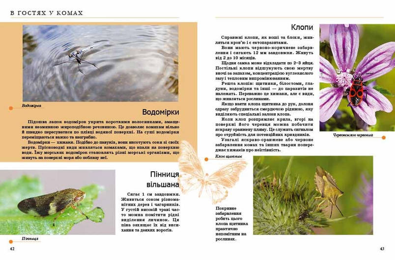 Книга "Енциклопедія для допитливих: Комахи та інші" | Талант, фото 3