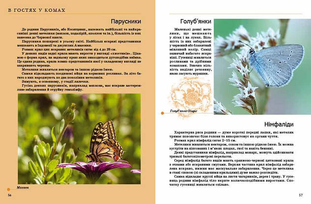 Книга "Енциклопедія для допитливих: Комахи та інші" | Талант, фото 4