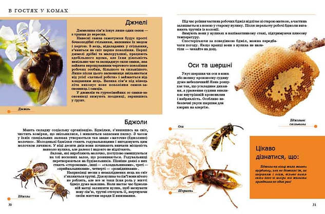 Книга "Енциклопедія для допитливих: Комахи та інші" | Талант, фото 5
