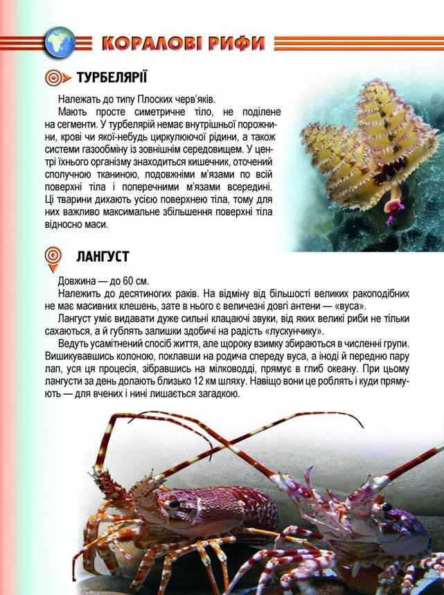 Книга "Енциклопедія для допитливих: Мешканці морів та океанів" | Талант, фото 3