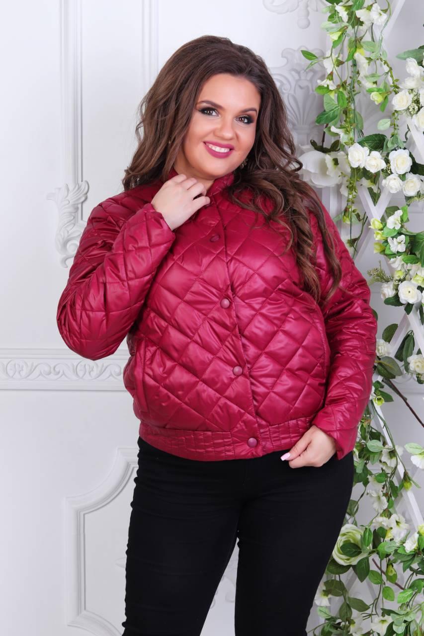 Жіноча стега PLUS Size, арт 310, колір вишня