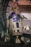 Постер плакат "Звёздные Войны: Последние Джедаи (R2-D2 и Порги) / Star Wars The Last Jedi (R2-D2 & Porgs)"