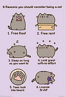 Постер плакат "Pusheen (Причины Быть Кошкой) / Pusheen (Reasons To Be a Cat)" 61x91.5см (ps-00220)