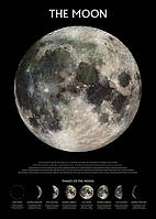 Постер плакат "Луна (Фазы) / The Moon (Phases)" (ps-0052)